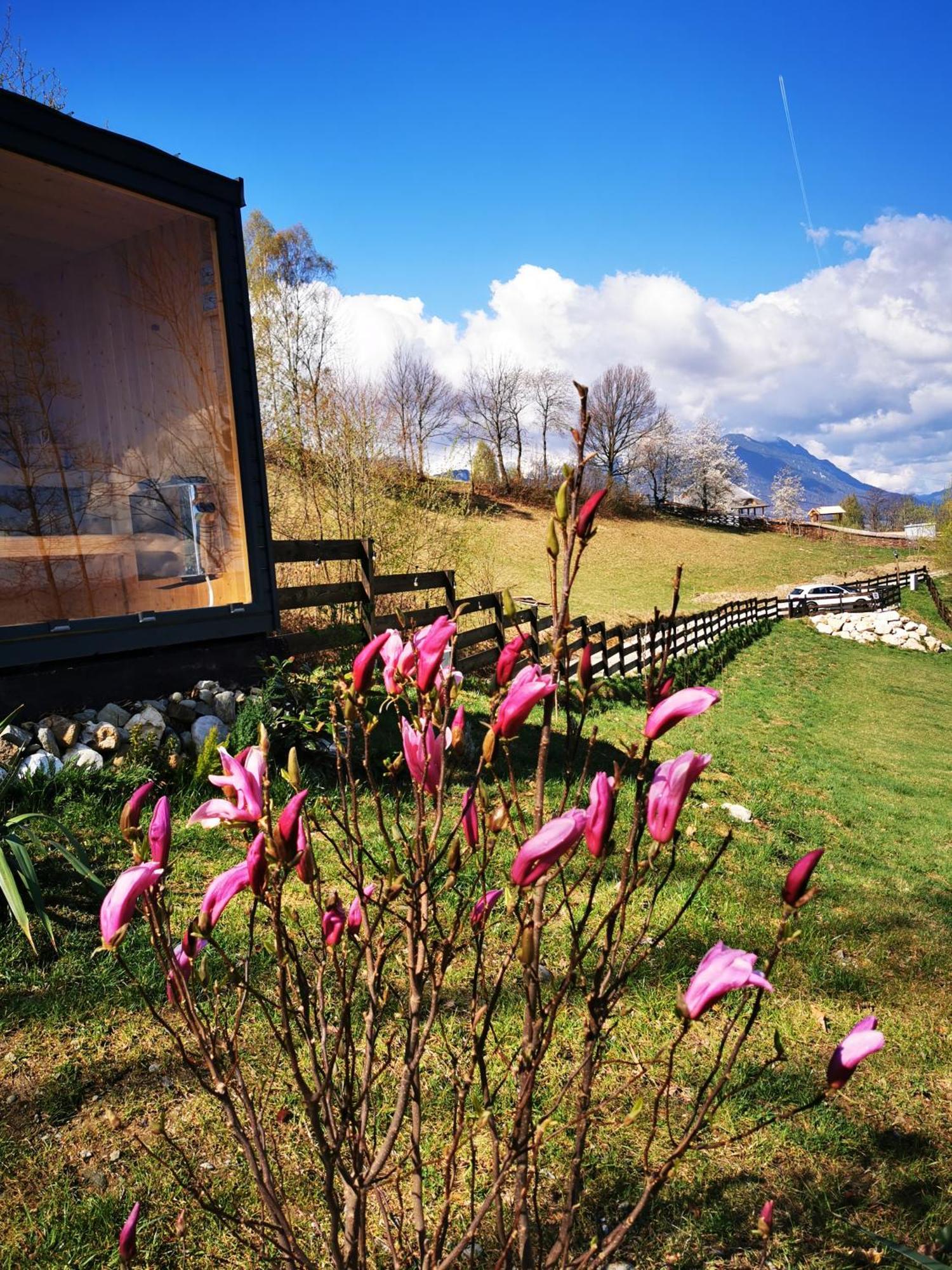 Doza De Verde Retreat&Spa Bran-Adults Only Sohodol  Exterior photo